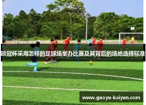 欧冠杯采用怎样的足球场举办比赛及其背后的场地选择标准