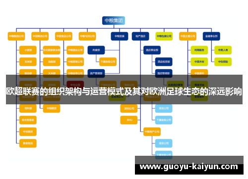 欧超联赛的组织架构与运营模式及其对欧洲足球生态的深远影响
