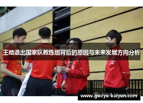 王皓退出国家队教练组背后的原因与未来发展方向分析